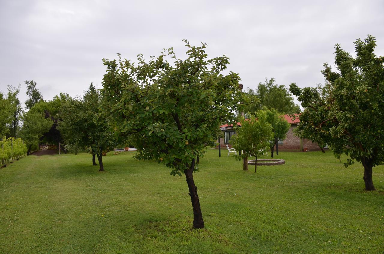 Finca Fisterra Maipú エクステリア 写真