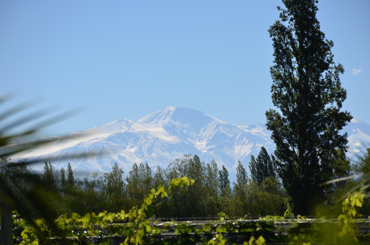 Finca Fisterra Maipú エクステリア 写真