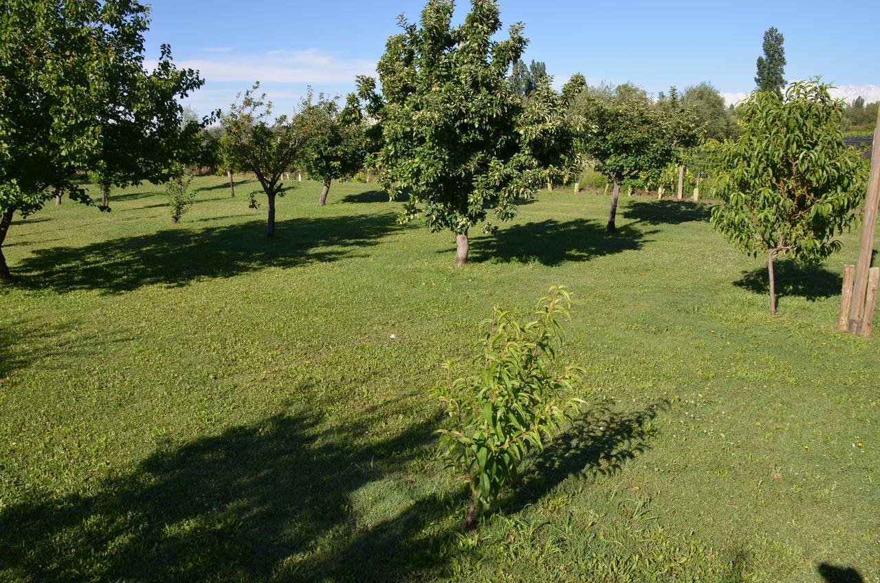 Finca Fisterra Maipú エクステリア 写真
