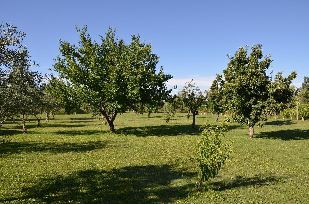 Finca Fisterra Maipú エクステリア 写真
