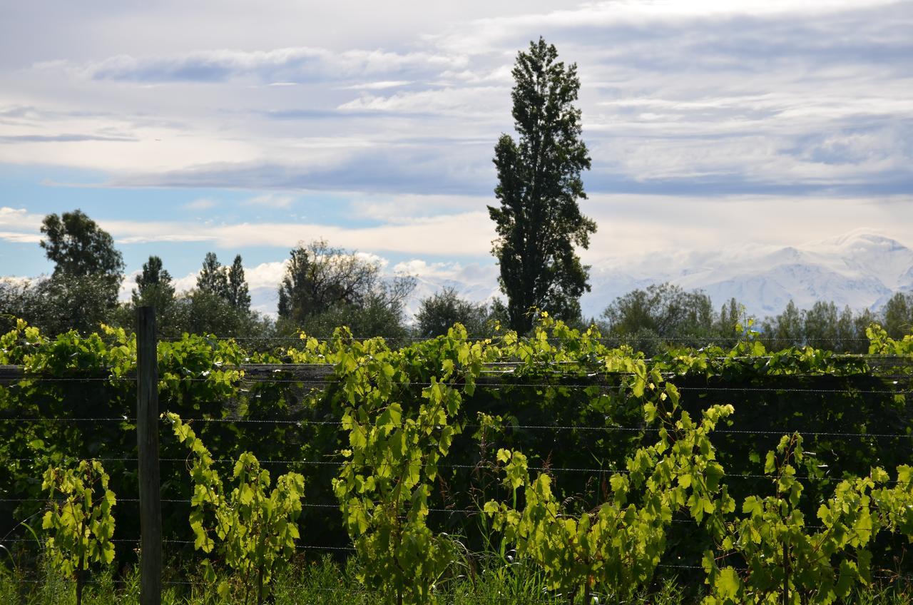 Finca Fisterra Maipú エクステリア 写真