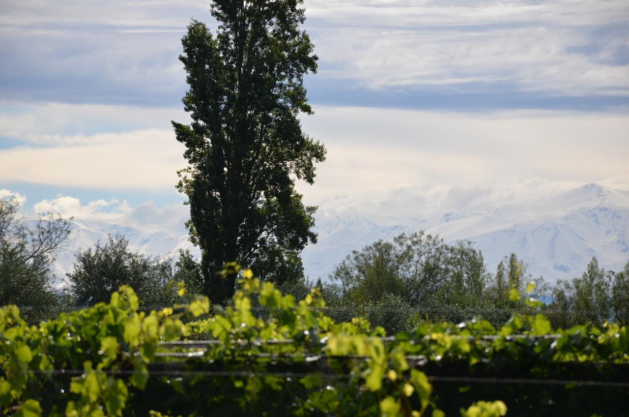 Finca Fisterra Maipú エクステリア 写真