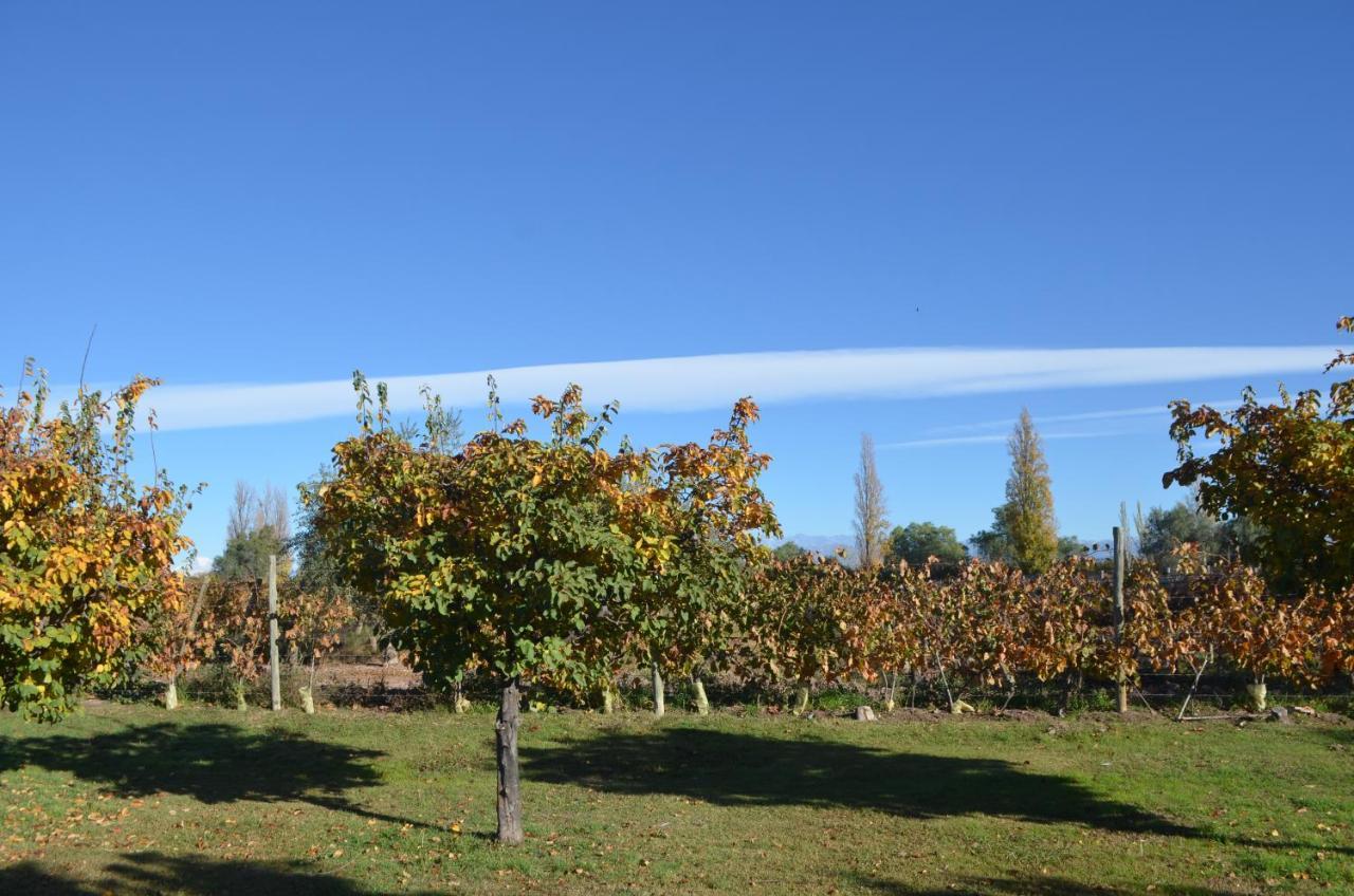 Finca Fisterra Maipú エクステリア 写真